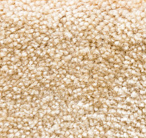 Ковролин AW Masquerade Gaudia 32 фото 1 | FLOORDEALER